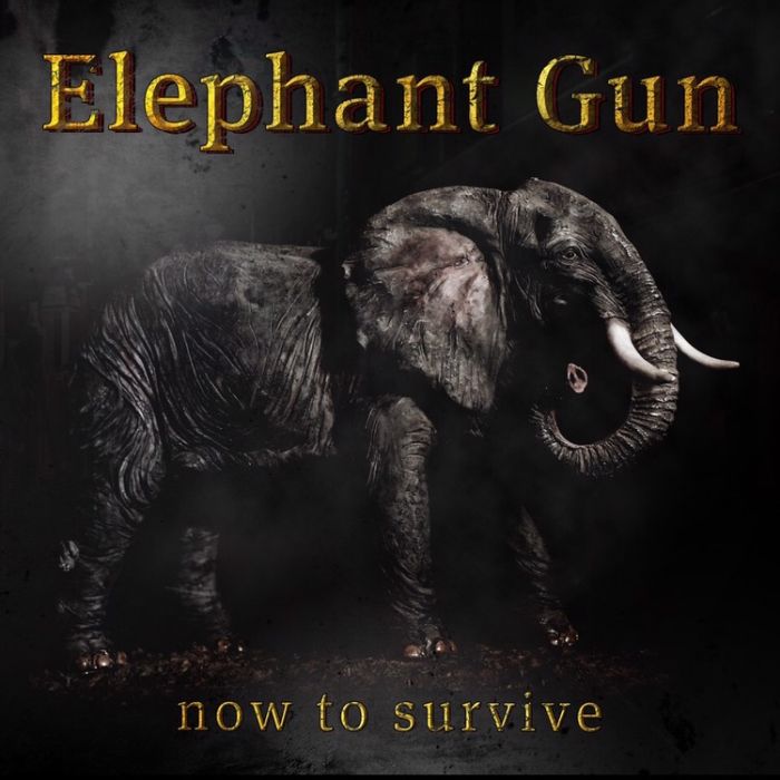 Elephant-Gun